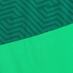 SELECT Monaco Goalkeeper Shirt - Kids -Sports Wear Shop 11383892 600101 600102 green green Goalkeeper Shirt Monaco v24 closeup 5ffab70f 506e 4bab a045 41b79a38cfee